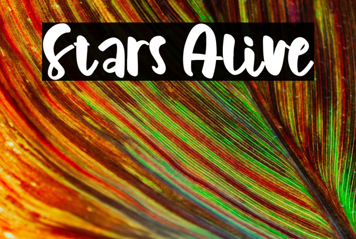 Stars Alive Font examples