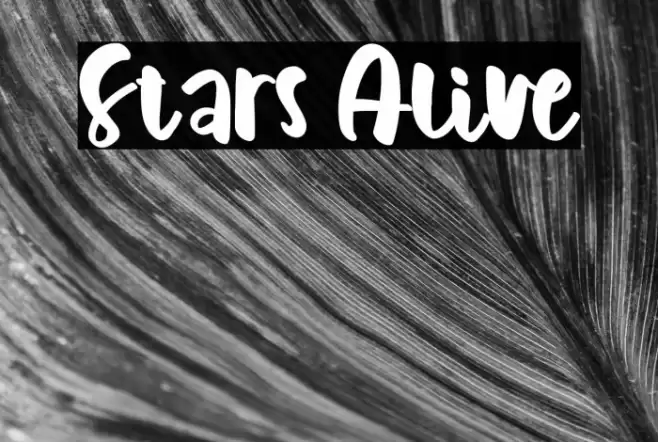 Stars Alive Font examples