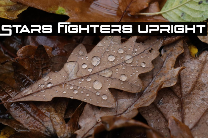 Stars Fighters Upright Example 1