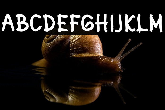 Stars Mounth Example 2