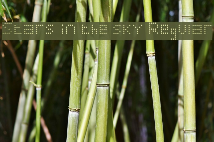 Stars in the sky Regular Example 1