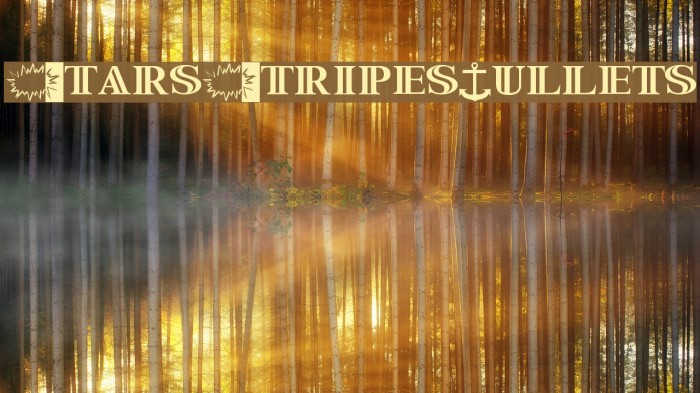 StarsStripesBullets Example 2