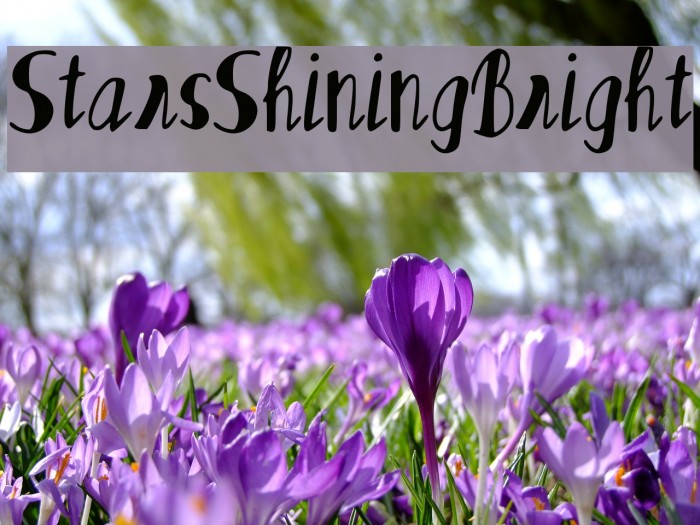 Stars_Shining_Bright Example 1