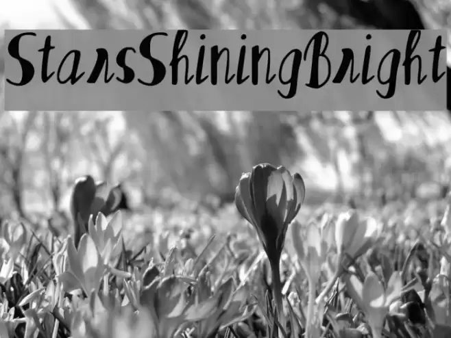 Stars_Shining_Bright Font examples