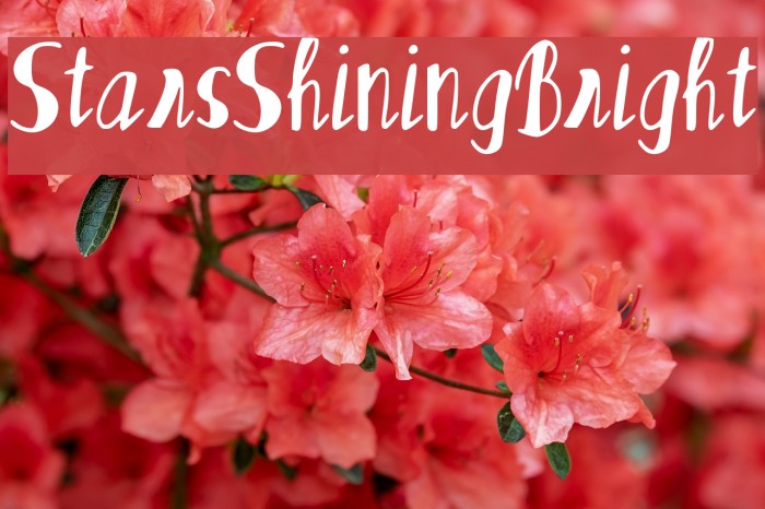 Stars_Shining_Bright Example 2