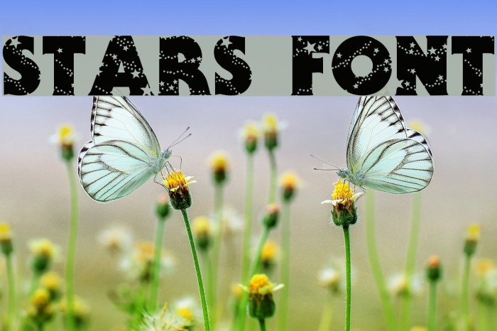 Stars Example 1
