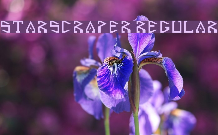 Starscraper Regular Font examples