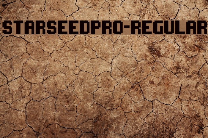 StarseedPro-Regular Example 2