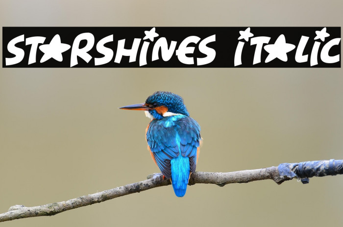 Starshines Italic Example 1