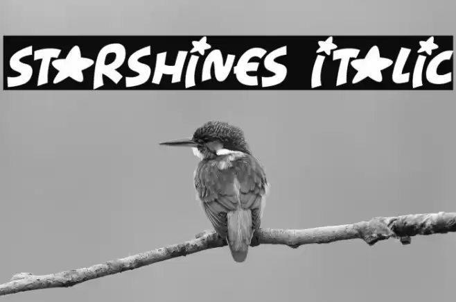 Starshines Italic Font examples