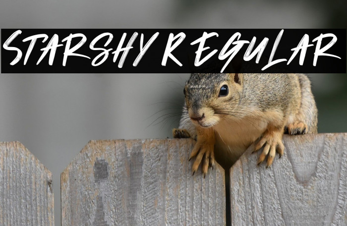 Starshy Regular Example 1