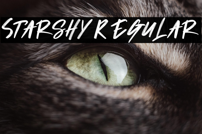 Starshy Regular Example 2