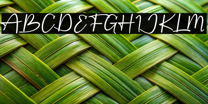 Starting DEMO Example 1