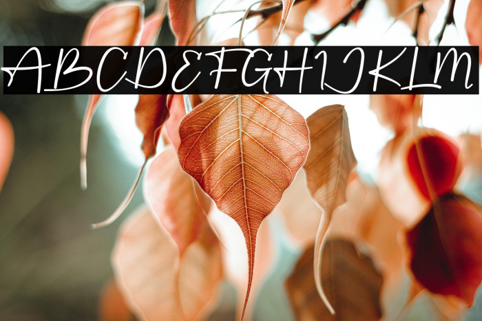 Starting DEMO Example 2