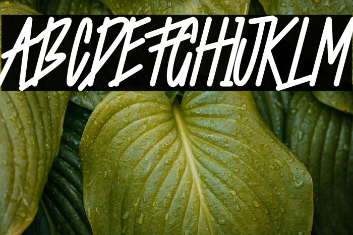 Starting Live Example 1