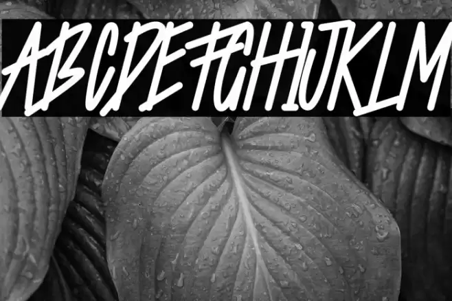 Starting Live Font examples