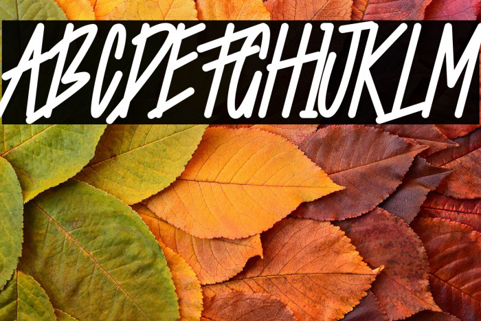 Starting Live Example 2