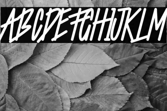 Starting Live Font examples