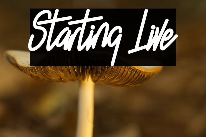 Starting Live Example 3