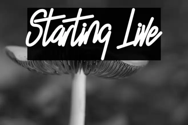 Starting Live Font examples