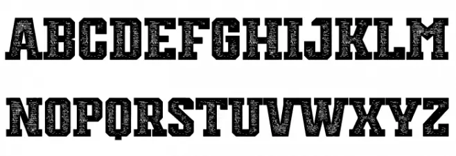 Starting Pitchers Personal Use Polices MAJUSCULES