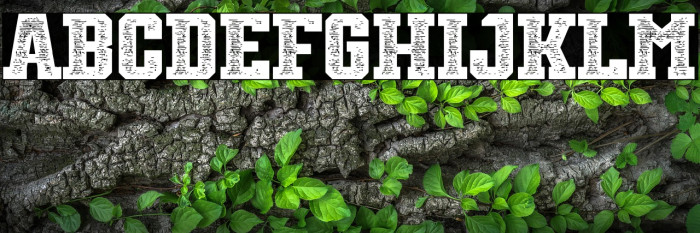 Starting Pitchers Personal Use Example 2