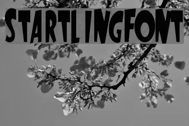 StartlingFont Font examples