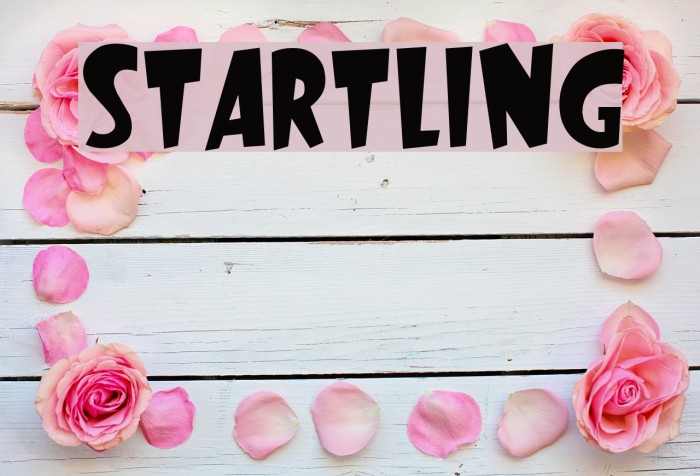 Startling Font examples