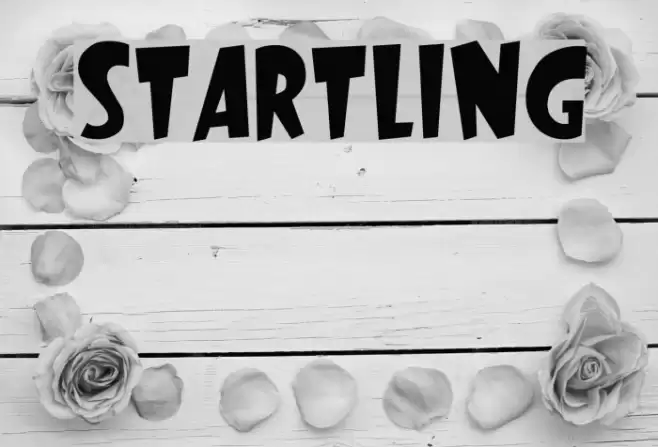 Startling Polices examples