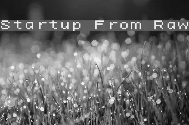 Startup From Raw Font examples