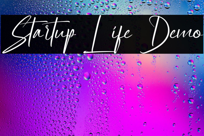 Startup Life Demo Example 1