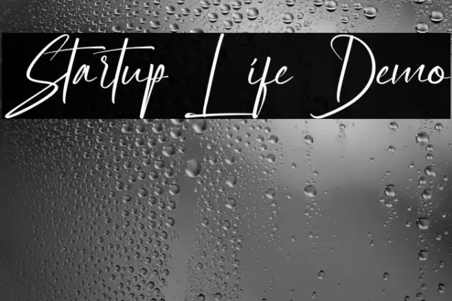 Startup Life Demo Fonte examples