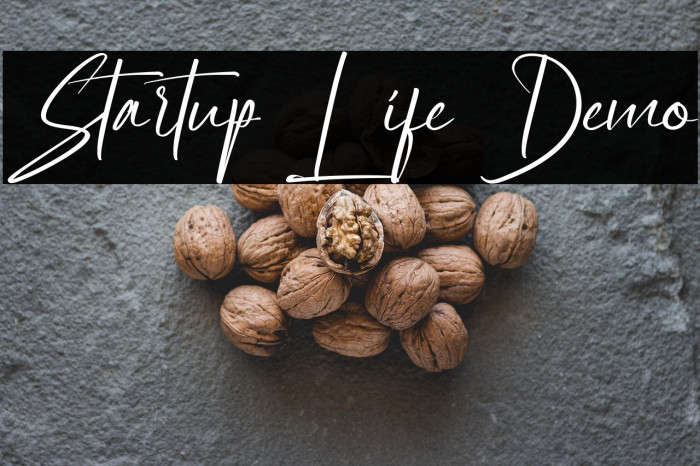 Startup Life Demo Example 2