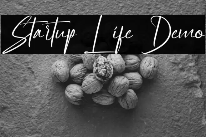 Startup Life Demo Fonte examples