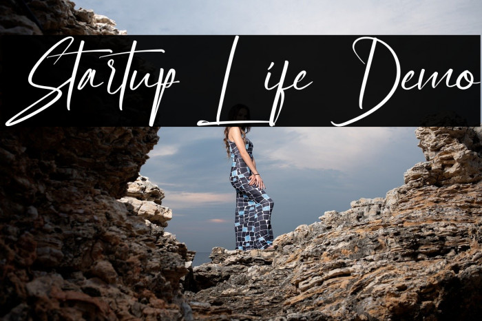 Startup Life Demo Example 3