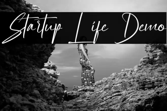 Startup Life Demo Fonte examples