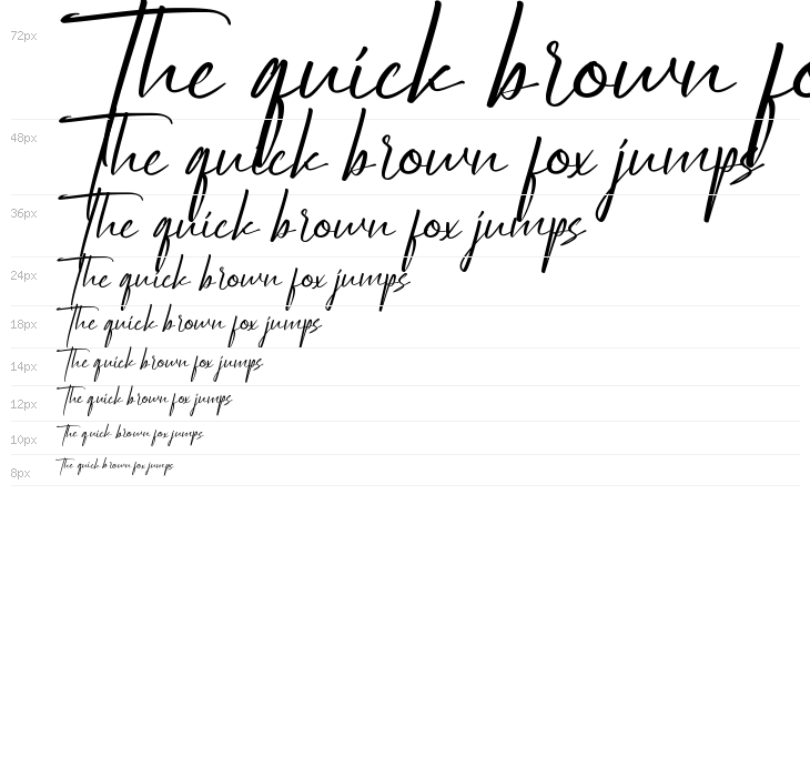 Startup Life Demo Waterfall