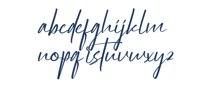 Startup Life Demo Lowercase