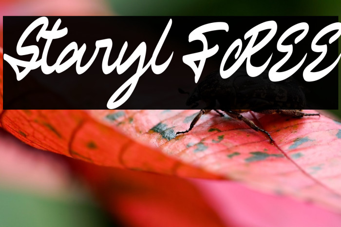 Staryl FREE Example 3