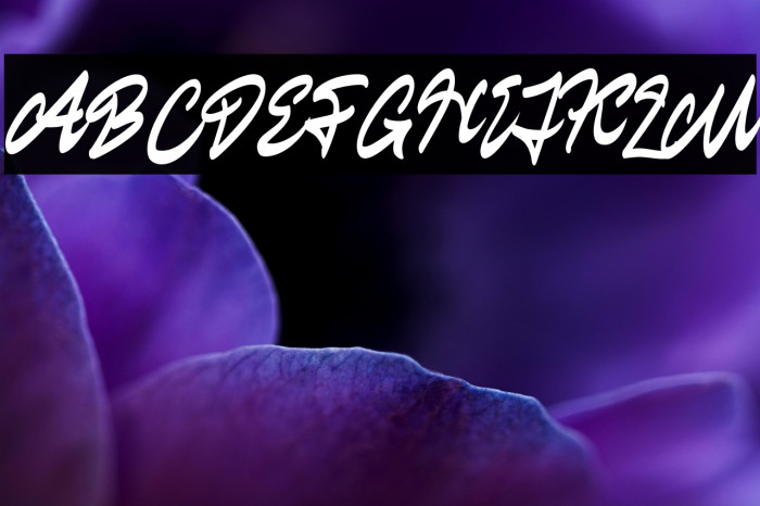 StarylFREE Example 2