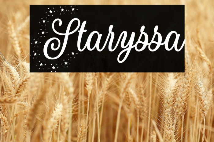 Staryssa Example 2