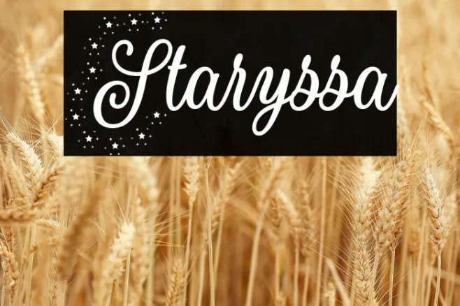 Staryssa Example 2