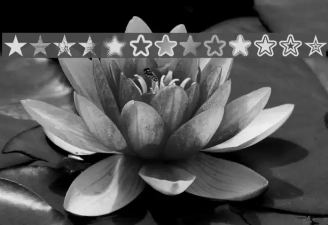 Starz 2 Font examples