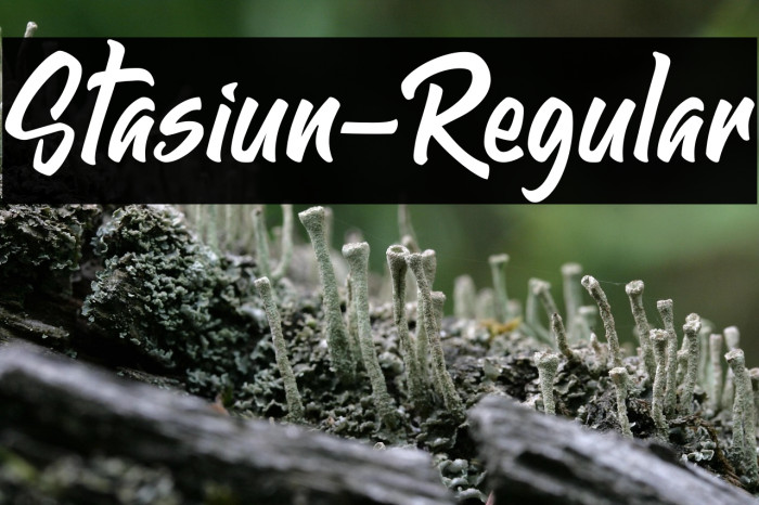 Stasiun-Regular Example 1