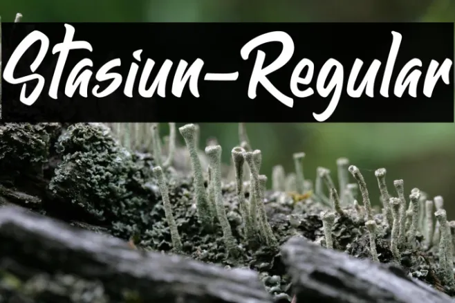 Stasiun-Regular Example 1
