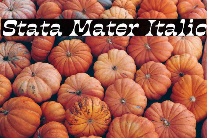 Stata Mater Italic Example 1