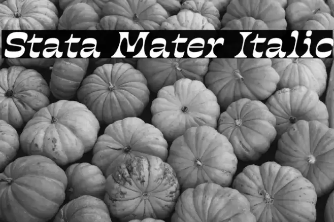 Stata Mater Italic Font examples