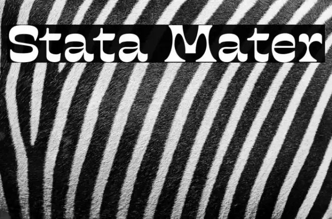Stata Mater Polices examples