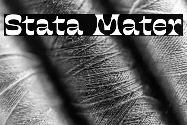 Stata Mater Polices examples