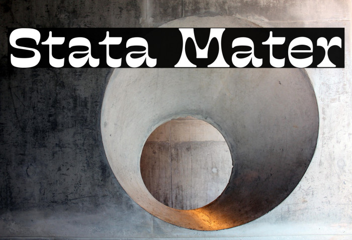 Stata Mater Example 3